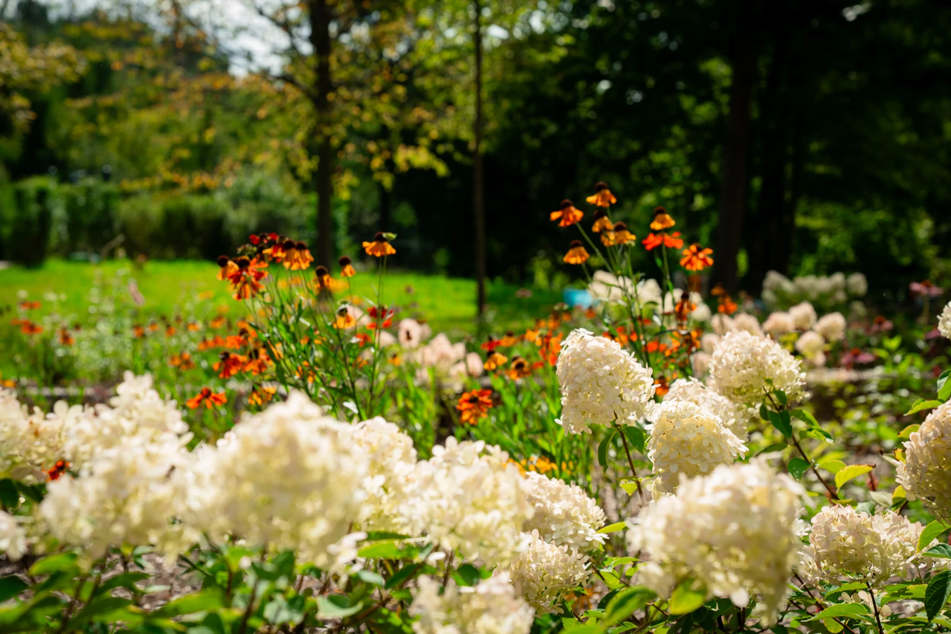 Hausgarten im Taunus – Staudenpflanzung im Spätsommer